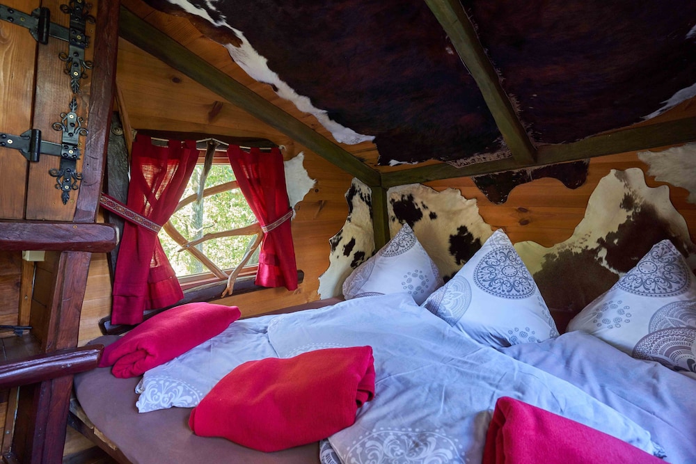 Comfort Tree House photo 1