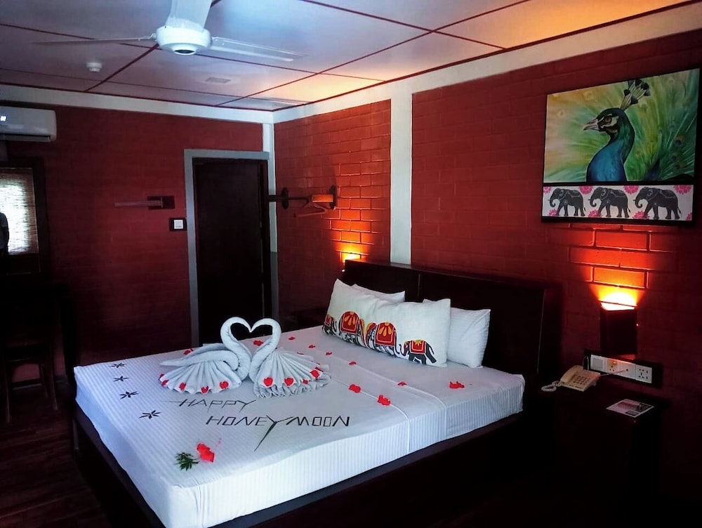Deluxe Double or Twin Room photo 1