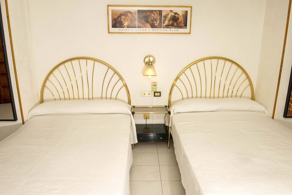Basic Quadruple Room photo 2
