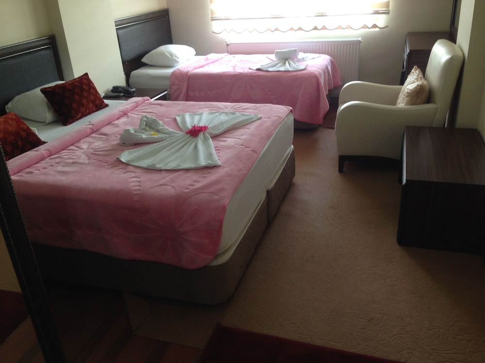 Standard Double or Twin Room photo 2