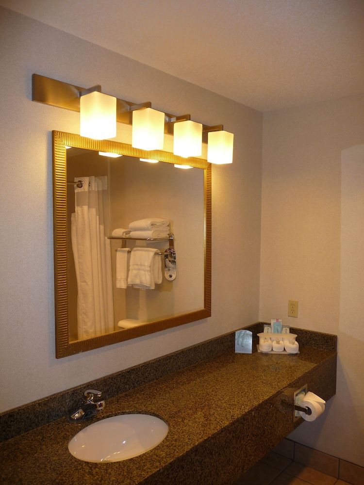 Suite, 1 Bedroom - Photo 8