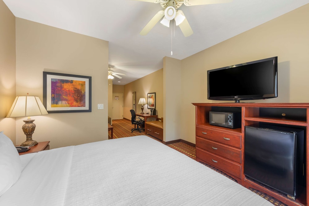 Suite, 1 King Bed, Non Smoking, Refrigerator & Microwave (with Sofabed) - Photo 3