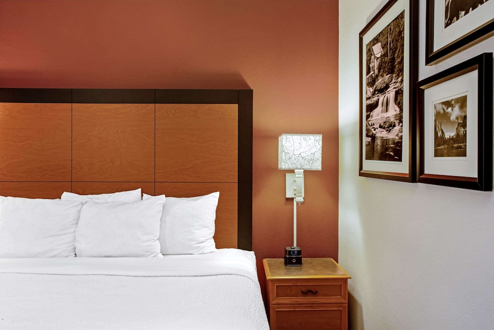 Deluxe Room, 1 King Bed, Non Smoking photo 3