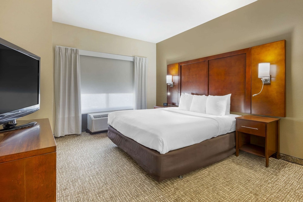 Suite, 1 King Bed with Sofa bed, Accessible, Non Smoking (2 Person Sofa Bed) - Photo 1