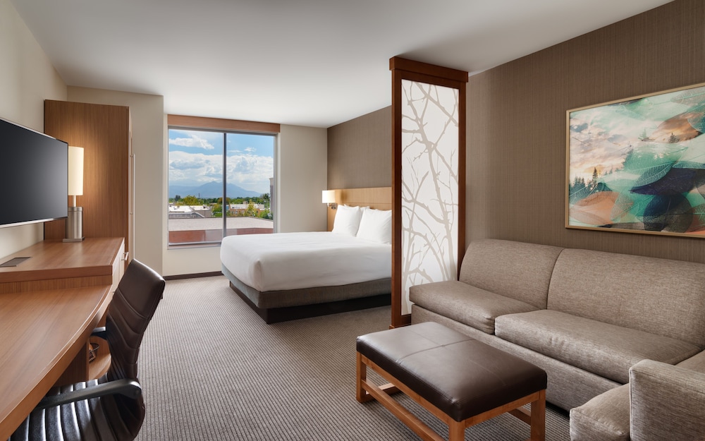 Deluxe Room, 1 King Bed with Sofa bed