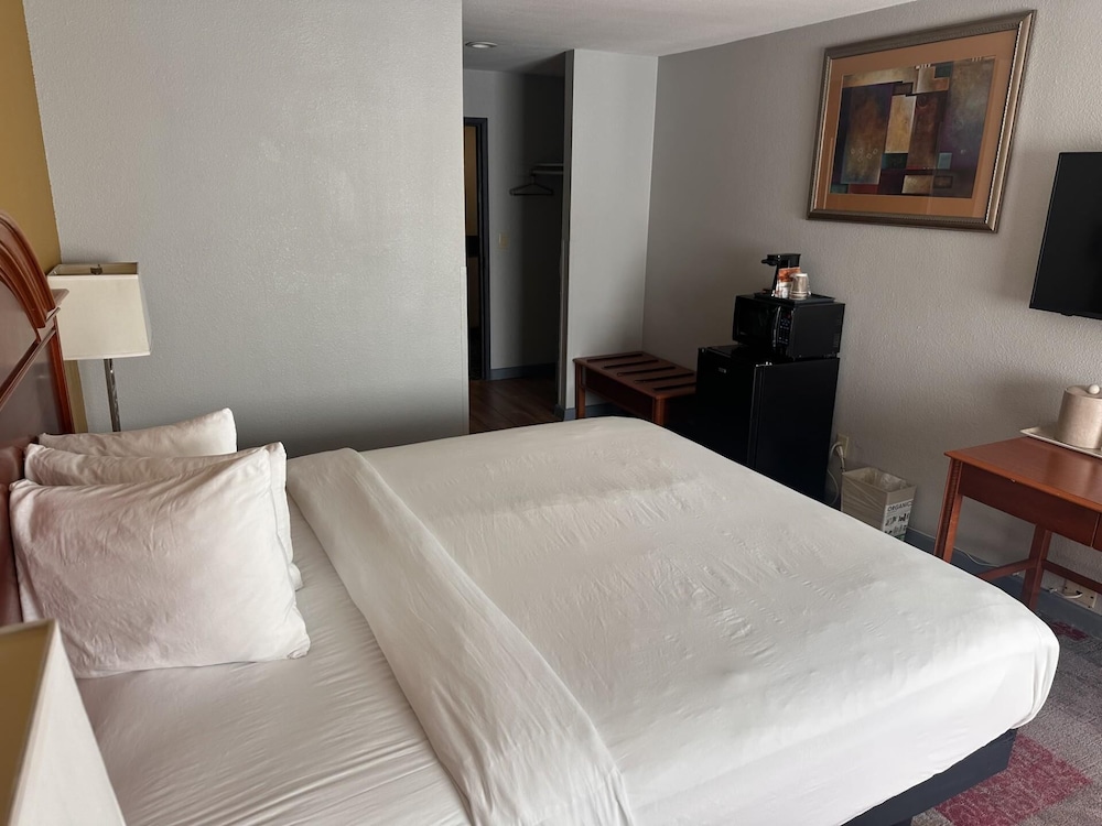Room, 1 King Bed photo 1