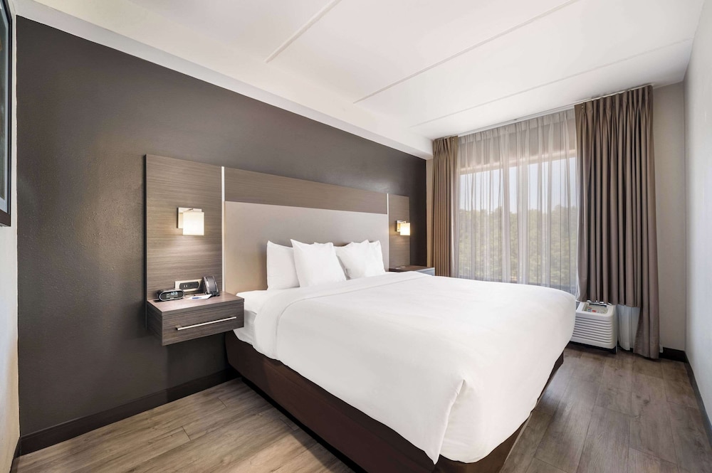 Standard Room, 1 King Bed with Sofa bed, Non Smoking