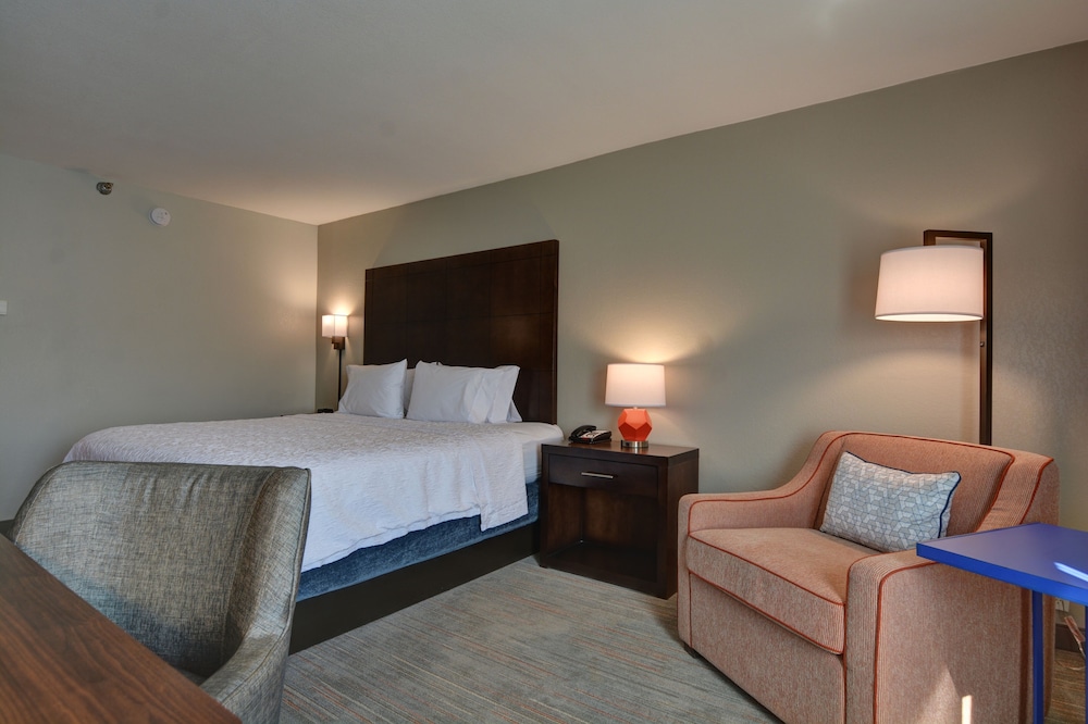 Room, 1 King Bed, Accessible, Non Smoking (Roll-In Shower) - Photo 12