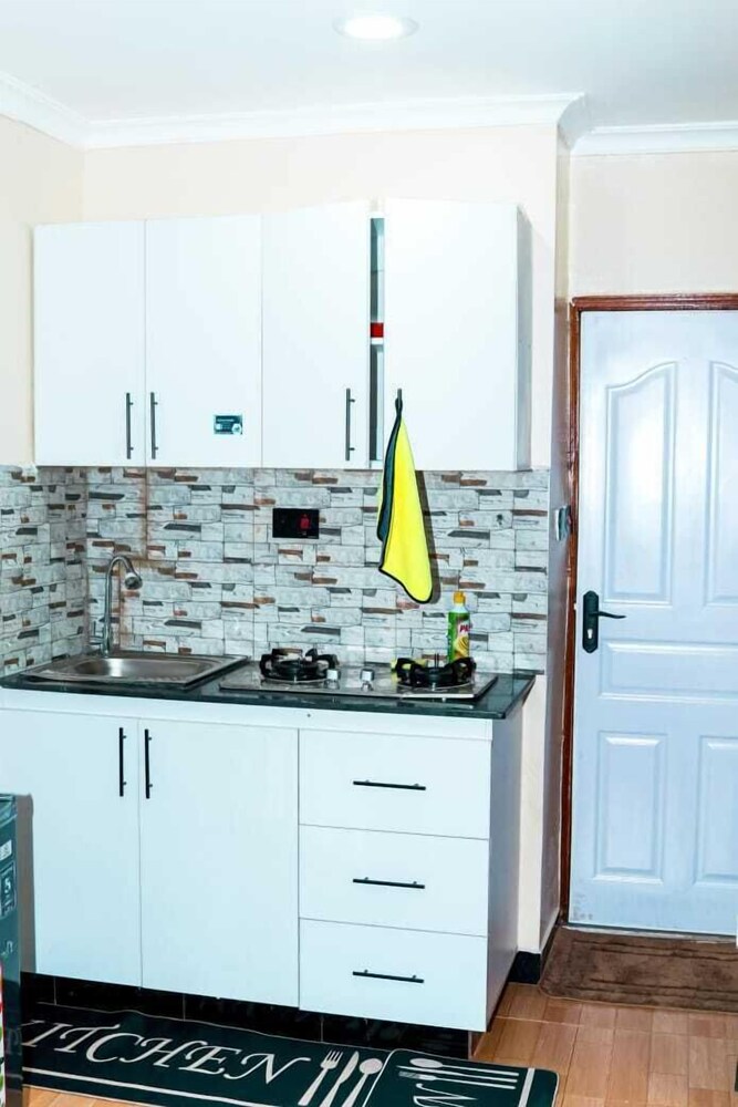 Classic Apartment, Lake View photo 3