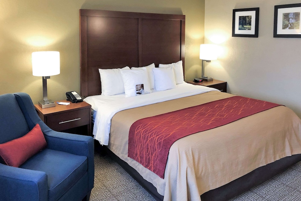 Standard Room, 1 King Bed, Non Smoking - Photo 1