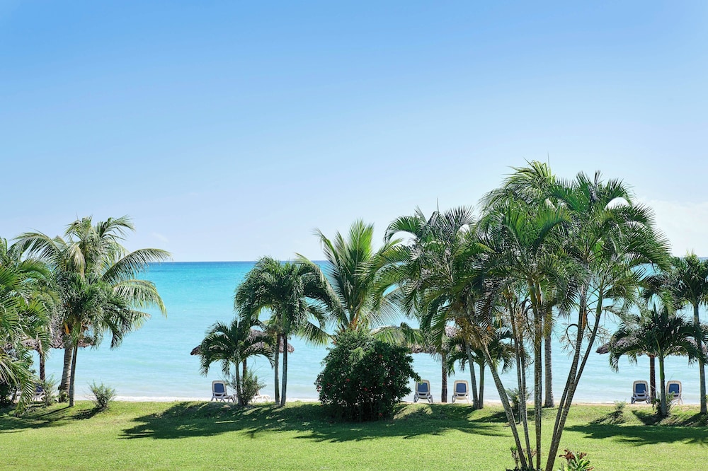 Suite, 1 Bedroom, Oceanfront (View) photo 1