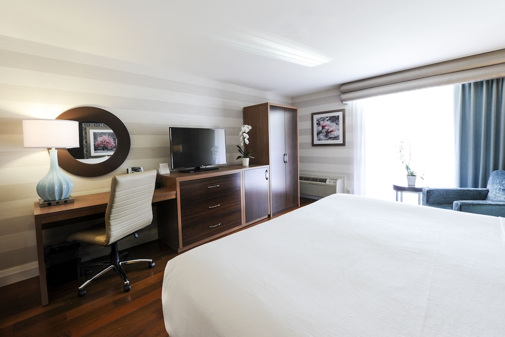 Standard Room, 1 King Bed (Walk-In Shower)