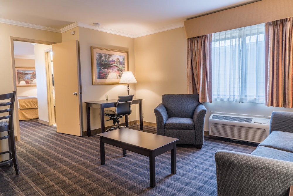 Suite, 1 King Bed, Non Smoking, Refrigerator & Microwave (with Sofabed) photo 1