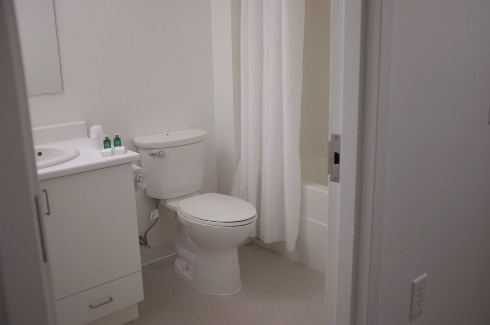 Suite, 1 Bedroom - Photo 4