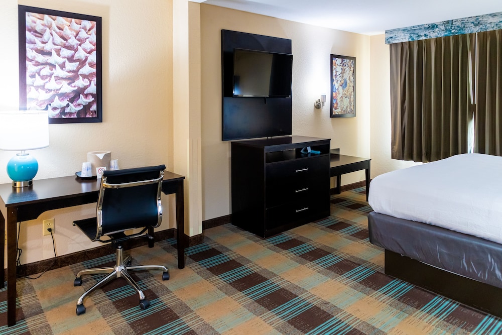 Standard Room, 1 King Bed, Accessible, Non Smoking (Walk-In Shower) - Photo 8