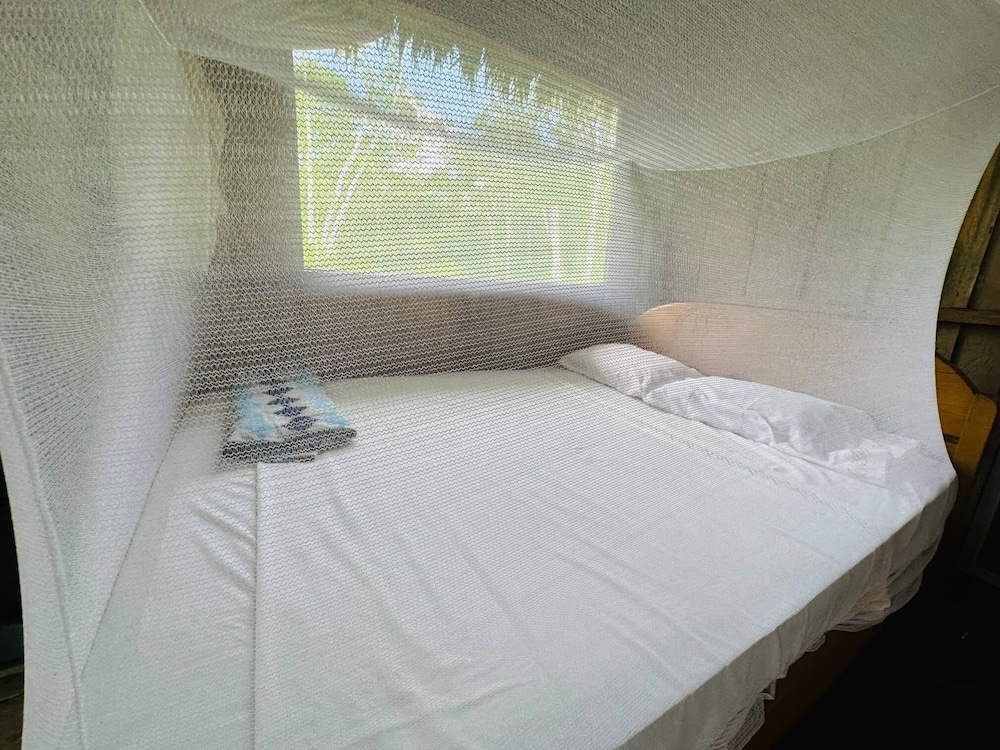 Classic Cabin, Multiple Beds photo 1