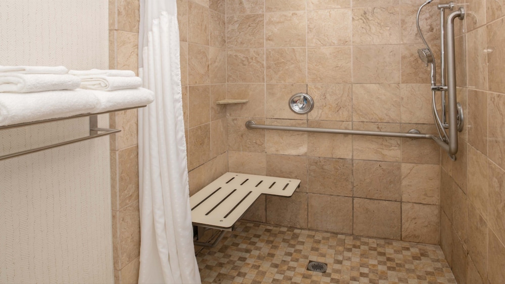 Standard Room, 1 King Bed, Roll-in Shower (Mobility Accessible) thumbnail 6