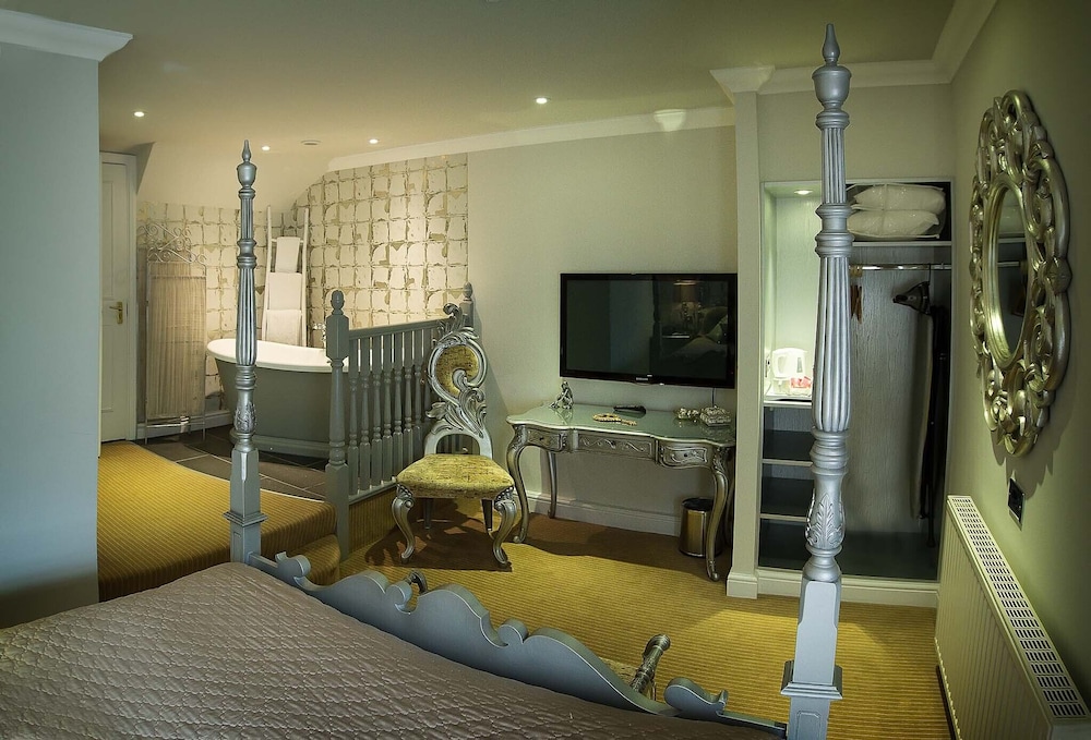 Superior Feature Room - Photo 6