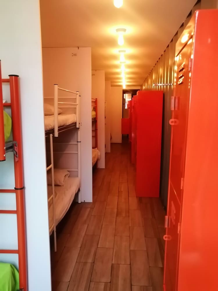 Comfort Shared Dormitory photo 1