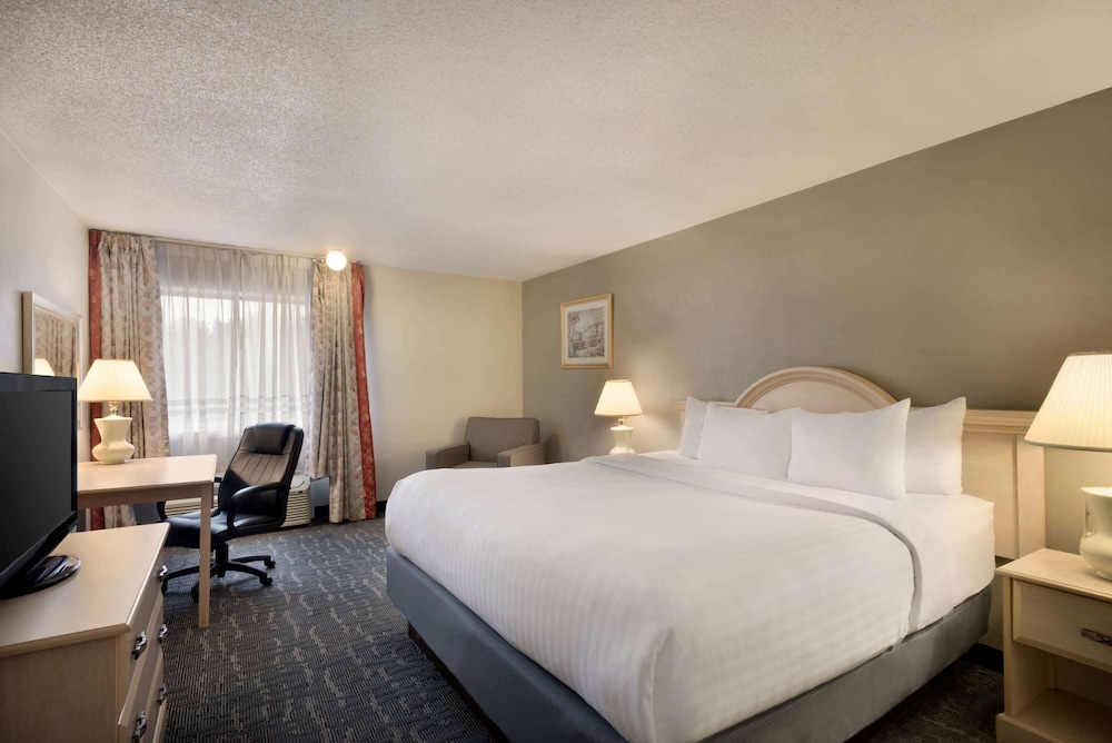 Room, 1 King Bed, Non Smoking (Modern Room) - Photo 4