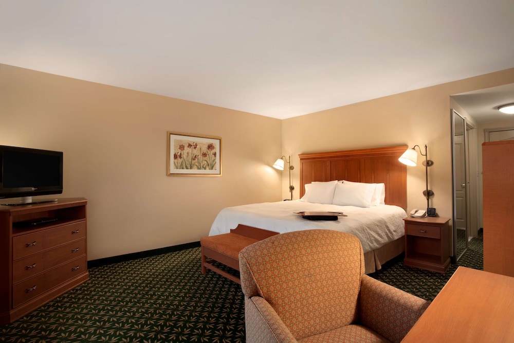 Room, 1 King Bed, Accessible photo 1