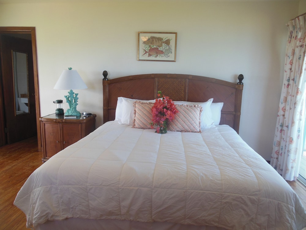 Traditional Room, 1 King Bed photo 1