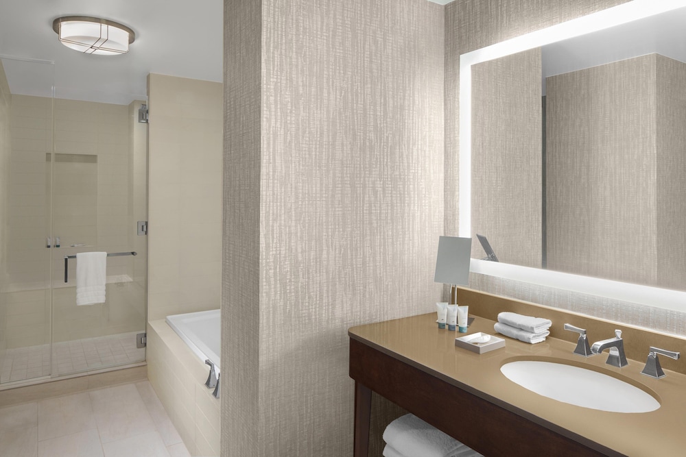 Suite, 1 King Bed with Sofa bed