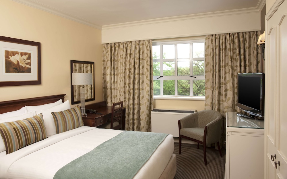Executive Double Room, 1 Queen Bed