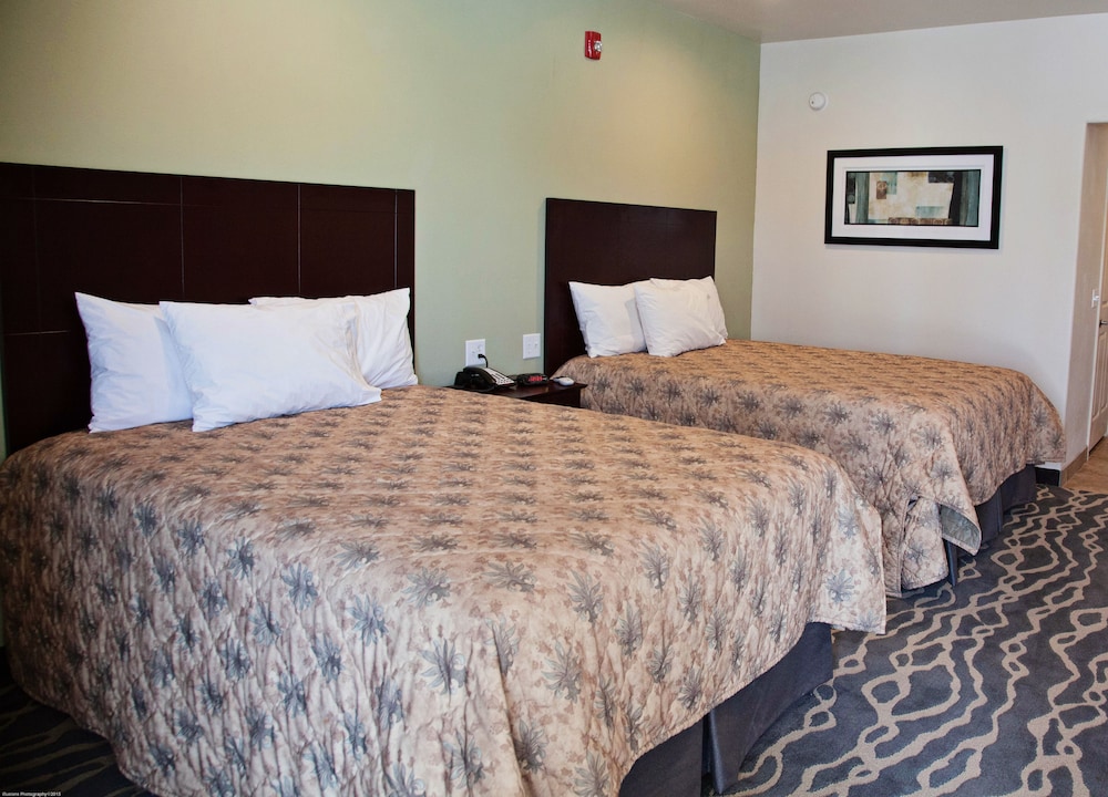 Deluxe Studio Suite, 2 Queen Beds photo 1