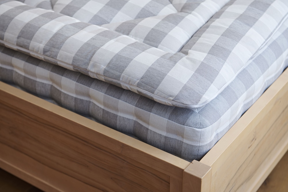 Comfort Studio Suite (Juniorsuite Königskerze) photo 3