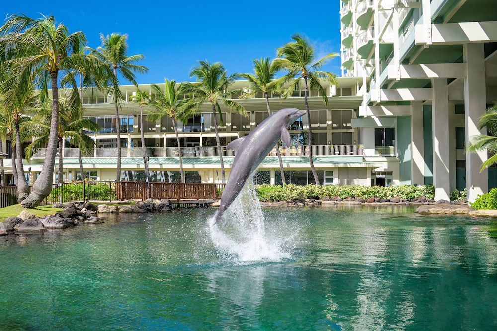 Dolphin Lanai