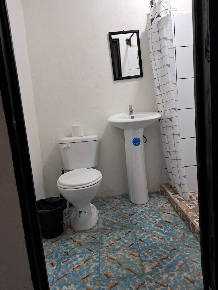 Basic Single Room photo 1