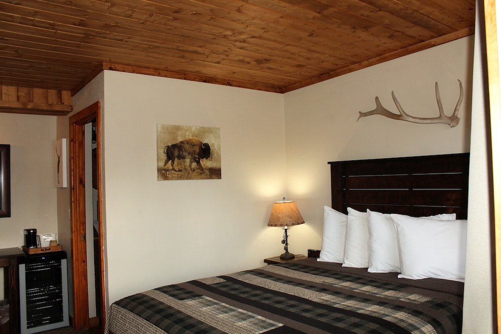 Compact Single Room, 1 Queen Bed, Non Smoking