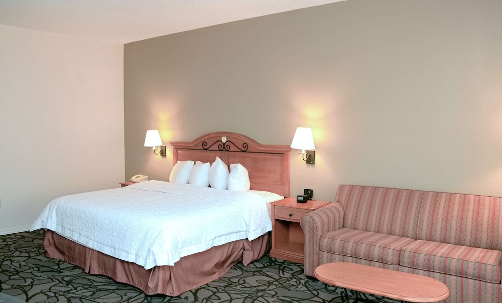 Room, 1 King Bed, Accessible - Photo 7