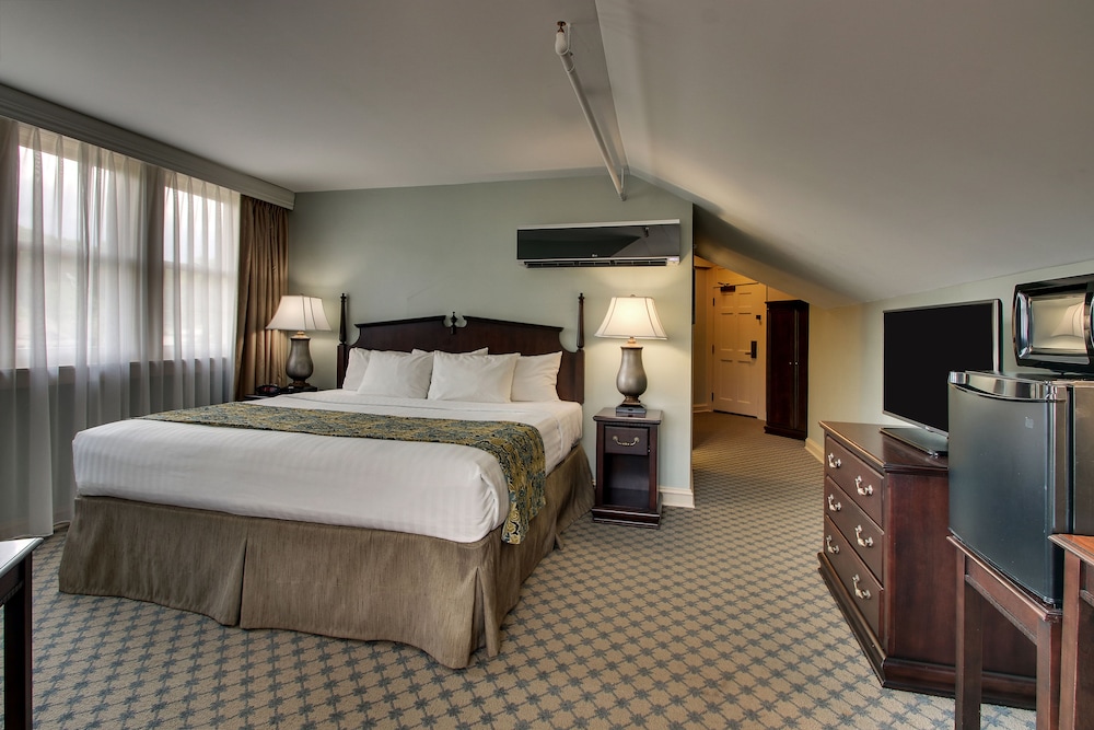 Room, 1 Queen Bed, Accessible photo 3