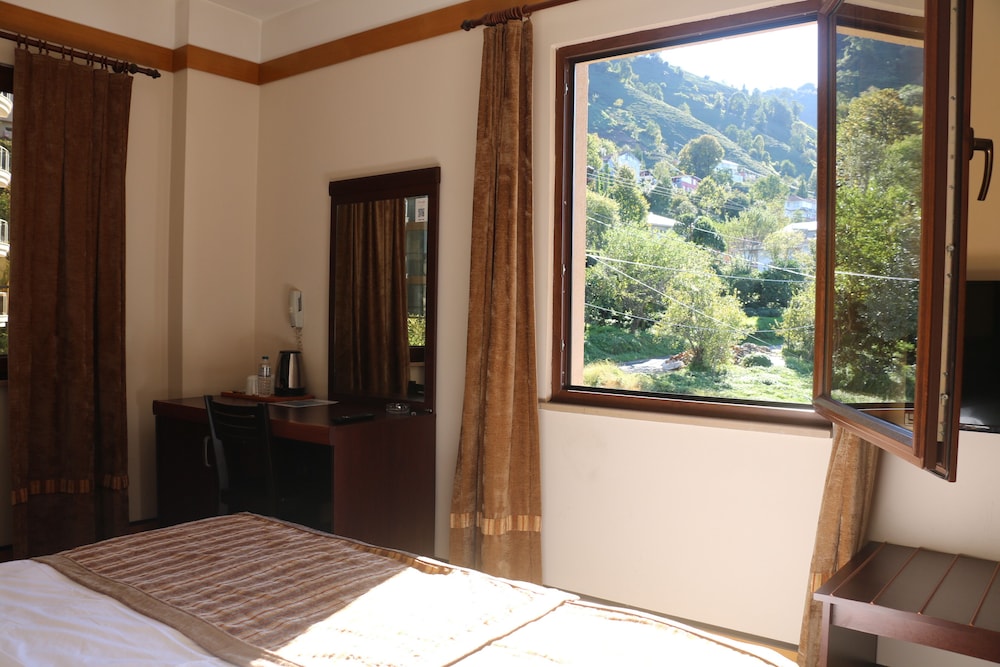 Standard Room, Mountain View photo 3