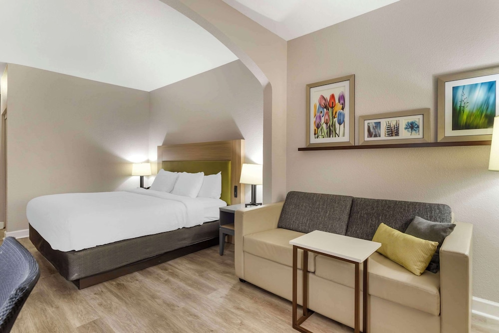Suite, 1 King Bed, Accessible, Non Smoking photo 1