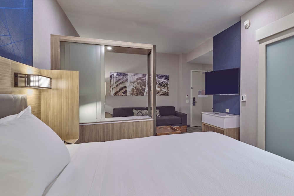 Suite, 1 King Bed with Sofa bed - Photo 2