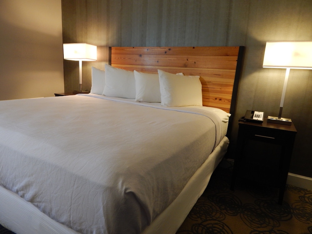 Suite, 1 King Bed, Non Smoking, Refrigerator & Microwave (Living Room;with Sofabed) - Photo 4