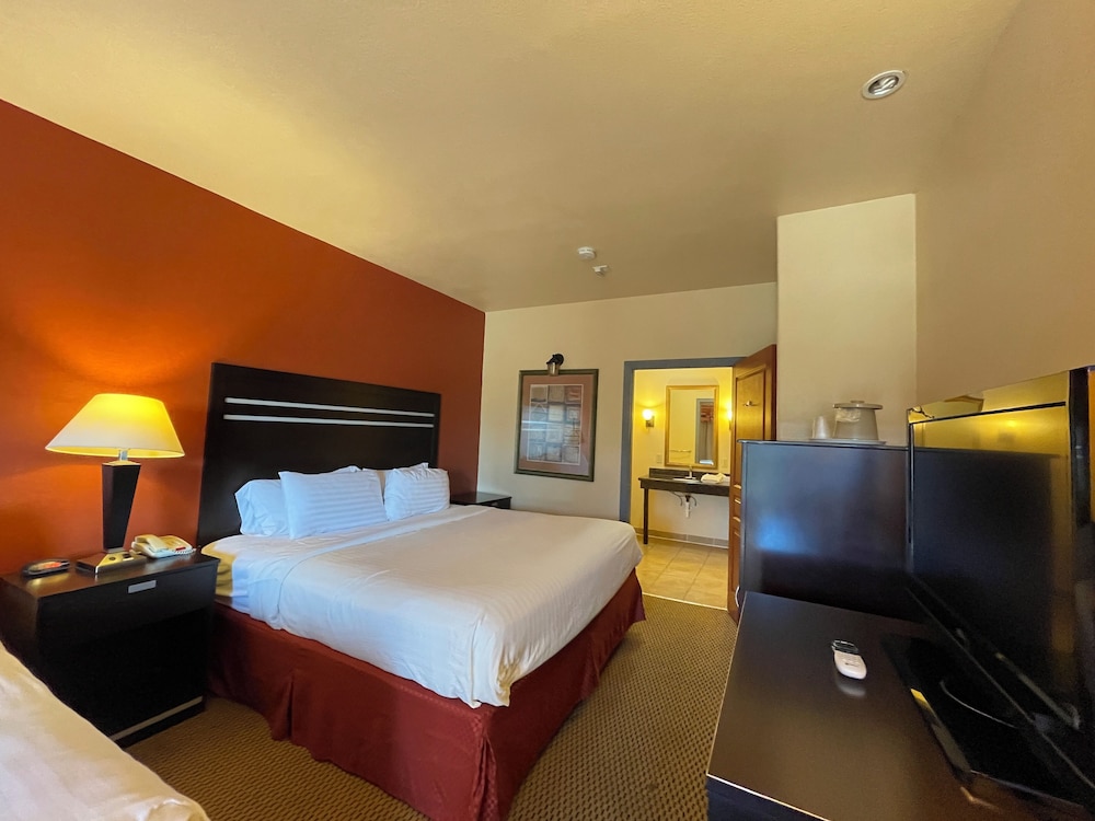 Comfort Single Room, 1 King Bed photo 2