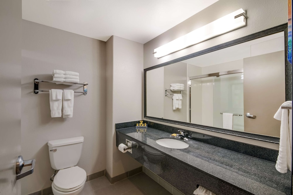 Standard Room, 1 King Bed, Non Smoking, Refrigerator & Microwave (with Sofabed) - Photo 4