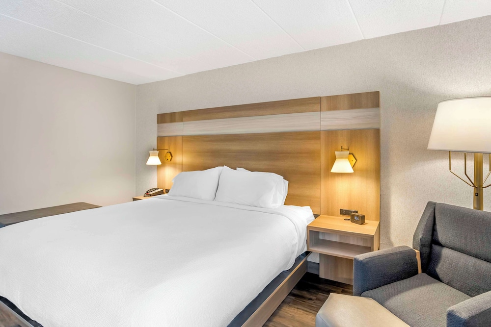 Standard Room, 1 King Bed, Non Smoking, Jetted Tub - Photo 2