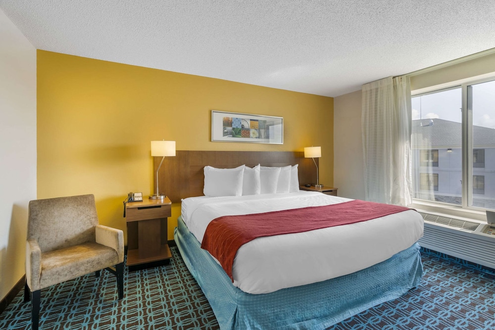 Standard Room, 1 King Bed, Non Smoking, Jetted Tub - Photo 1