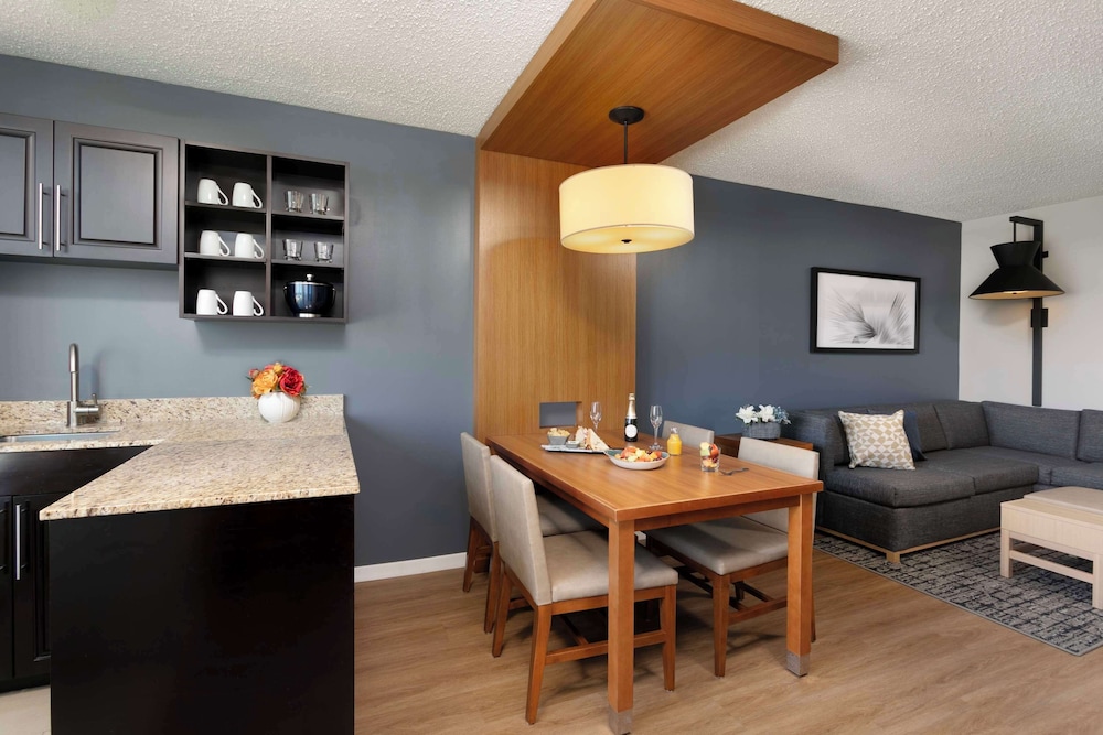 Suite, 1 King Bed photo 3