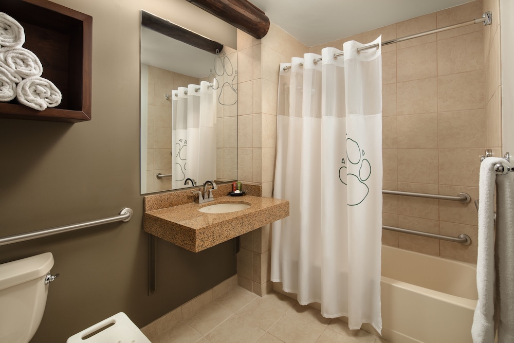 Kid Cabin Suite - Water Park Included - Photo 6