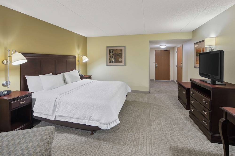 Room, 1 King Bed, Accessible (Roll-In Shower, Mobility & Hearing) - Photo 2