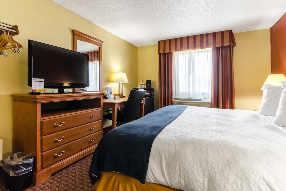 Standard Room, 1 King Bed, Smoking - Photo 1