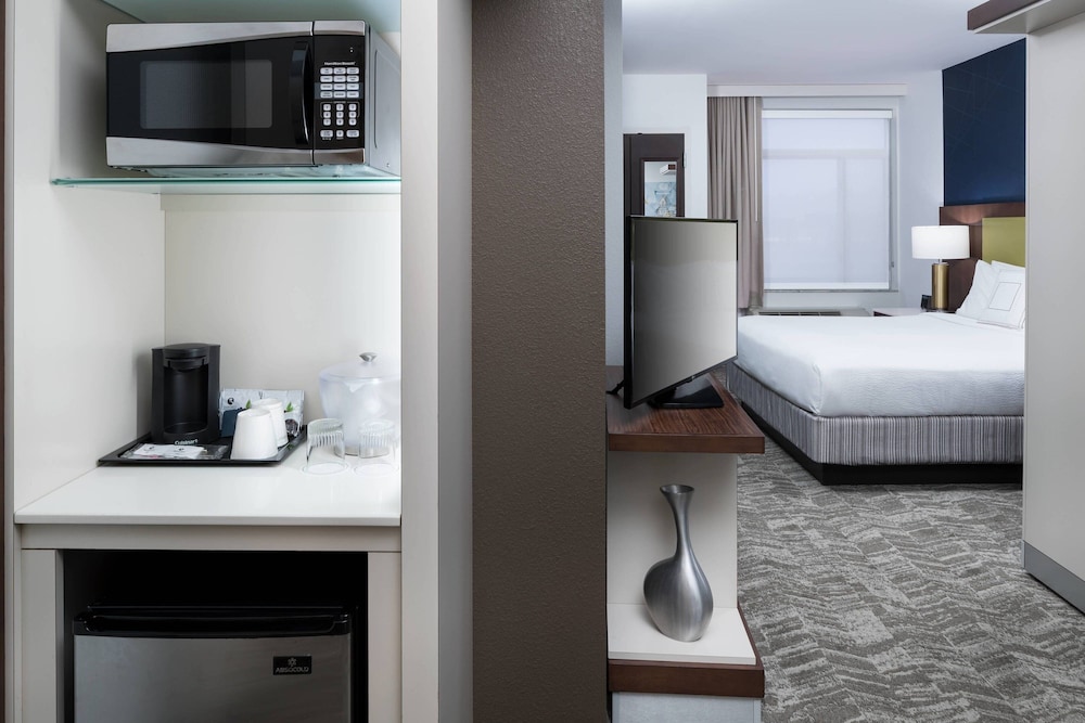 Suite, 1 King Bed - Photo 3