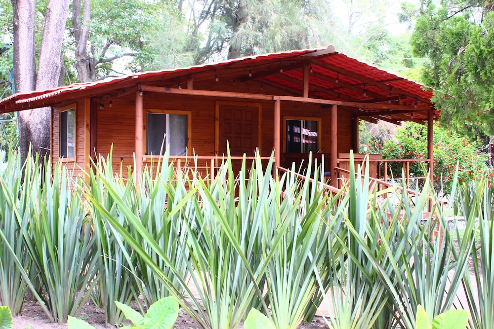 Standard Cabin photo 2