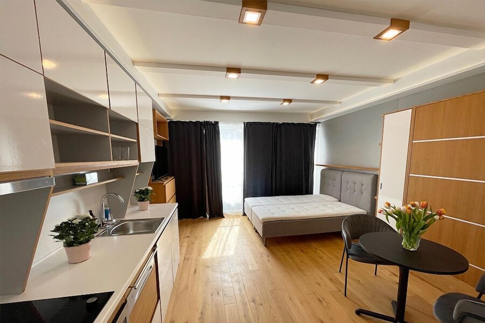 Medium Studio Apartment photo 1